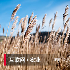 金沙乐娱场5555199vip(中国游)官方网站